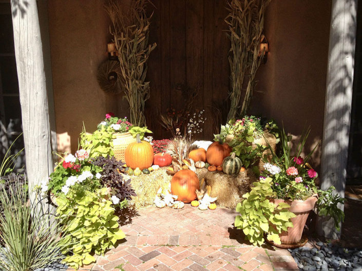 autumn harvest installation Santa Fe, NM