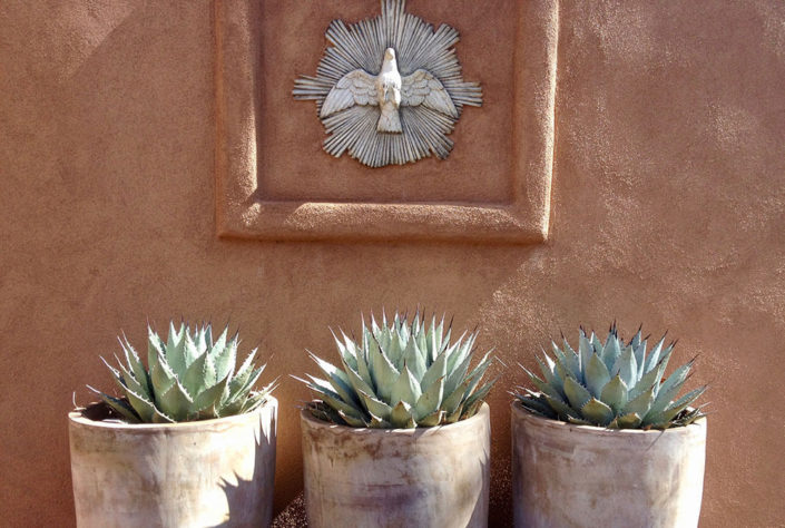 potted agaves with dove