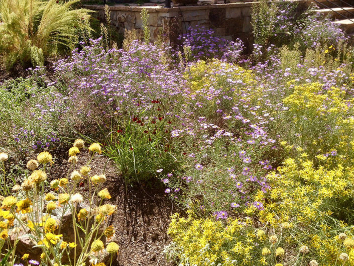 best gardeners in Santa Fe